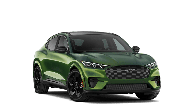 Mustang Mach-E® vehicle